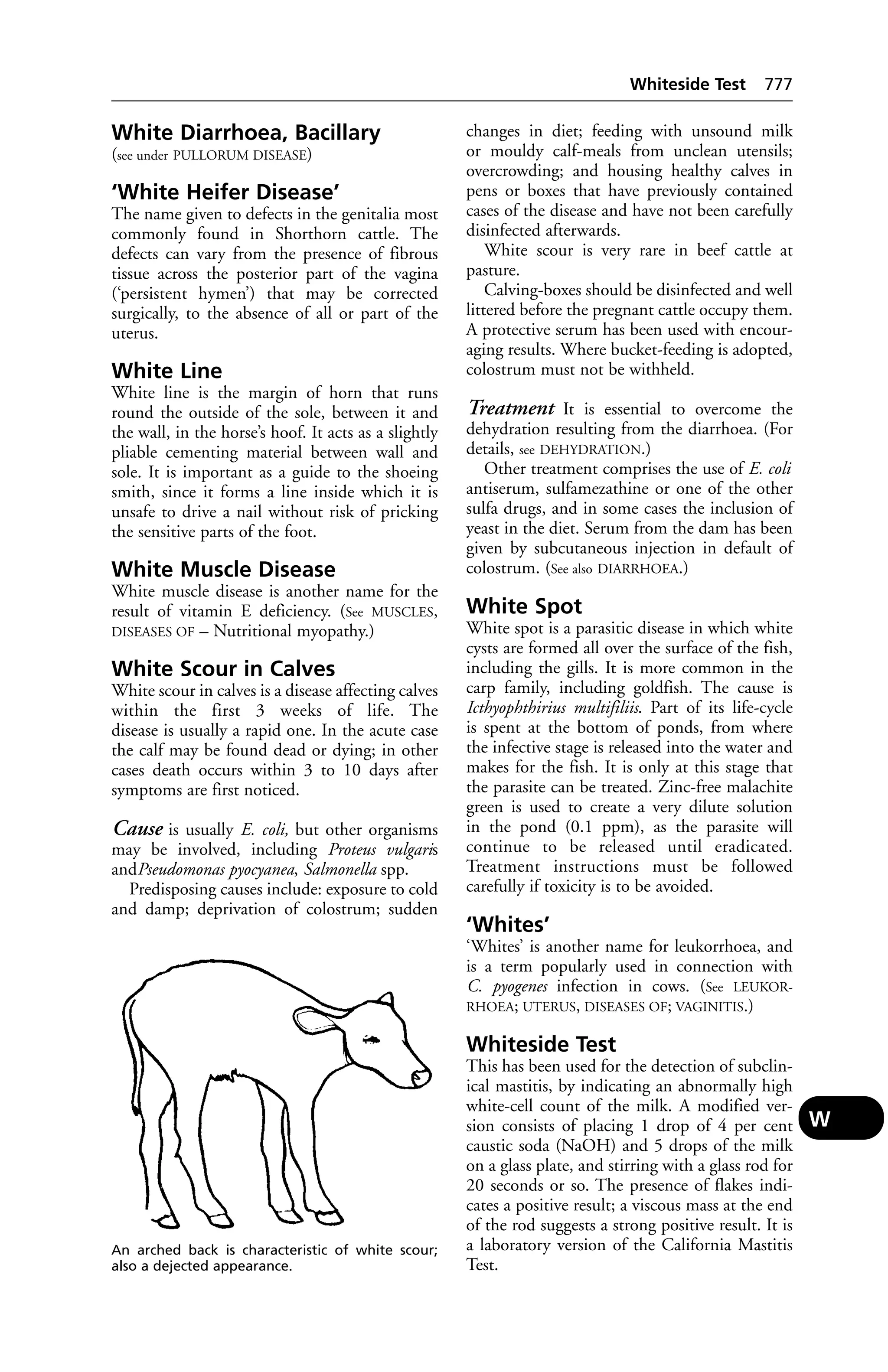 Veterinary dictionary _21st_edition