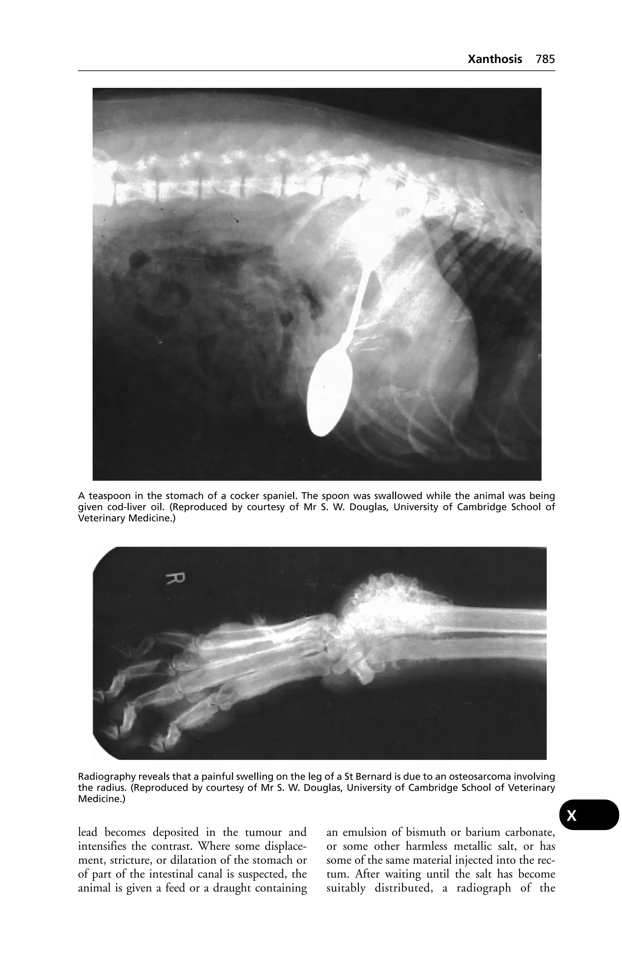 Veterinary dictionary _21st_edition