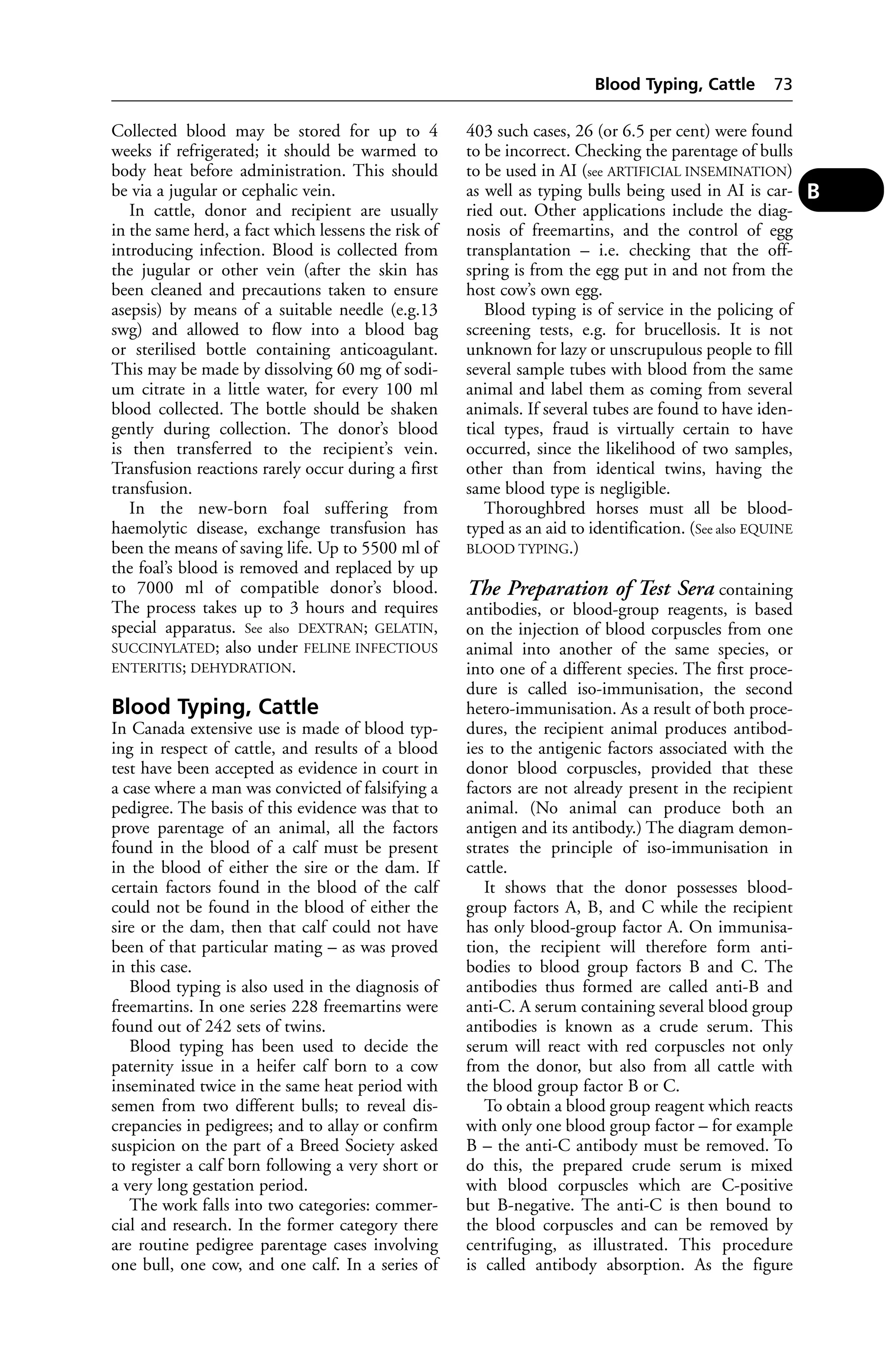 Collected blood may be stored for up to 4 
weeks if refrigerated; it should be warmed to 
body heat before administration. This should 
be via a jugular or cephalic vein. 
In cattle, donor and recipient are usually 
in the same herd, a fact which lessens the risk of 
introducing infection. Blood is collected from 
the jugular or other vein (after the skin has 
been cleaned and precautions taken to ensure 
asepsis) by means of a suitable needle (e.g.13 
swg) and allowed to flow into a blood bag 
or sterilised bottle containing anticoagulant. 
This may be made by dissolving 60 mg of sodi-um 
citrate in a little water, for every 100 ml 
blood collected. The bottle should be shaken 
gently during collection. The donor’s blood 
is then transferred to the recipient’s vein. 
Transfusion reactions rarely occur during a first 
transfusion. 
In the new-born foal suffering from 
haemolytic disease, exchange transfusion has 
been the means of saving life. Up to 5500 ml of 
the foal’s blood is removed and replaced by up 
to 7000 ml of compatible donor’s blood. 
The process takes up to 3 hours and requires 
special apparatus. See also DEXTRAN; GELATIN, 
SUCCINYLATED; also under FELINE INFECTIOUS 
ENTERITIS; DEHYDRATION. 
Blood Typing, Cattle 
In Canada extensive use is made of blood typ-ing 
in respect of cattle, and results of a blood 
test have been accepted as evidence in court in 
a case where a man was convicted of falsifying a 
pedigree. The basis of this evidence was that to 
prove parentage of an animal, all the factors 
found in the blood of a calf must be present 
in the blood of either the sire or the dam. If 
certain factors found in the blood of the calf 
could not be found in the blood of either the 
sire or the dam, then that calf could not have 
been of that particular mating – as was proved 
in this case. 
Blood typing is also used in the diagnosis of 
freemartins. In one series 228 freemartins were 
found out of 242 sets of twins. 
Blood typing has been used to decide the 
paternity issue in a heifer calf born to a cow 
inseminated twice in the same heat period with 
semen from two different bulls; to reveal dis-crepancies 
in pedigrees; and to allay or confirm 
suspicion on the part of a Breed Society asked 
to register a calf born following a very short or 
a very long gestation period. 
The work falls into two categories: commer-cial 
and research. In the former category there 
are routine pedigree parentage cases involving 
one bull, one cow, and one calf. In a series of 
Blood Typing, Cattle 73 
403 such cases, 26 (or 6.5 per cent) were found 
to be incorrect. Checking the parentage of bulls 
to be used in AI (see ARTIFICIAL INSEMINATION) 
as well as typing bulls being used in AI is car-ried 
out. Other applications include the diag-nosis 
of freemartins, and the control of egg 
transplantation – i.e. checking that the off-spring 
is from the egg put in and not from the 
host cow’s own egg. 
Blood typing is of service in the policing of 
screening tests, e.g. for brucellosis. It is not 
unknown for lazy or unscrupulous people to fill 
several sample tubes with blood from the same 
animal and label them as coming from several 
animals. If several tubes are found to have iden-tical 
types, fraud is virtually certain to have 
occurred, since the likelihood of two samples, 
other than from identical twins, having the 
same blood type is negligible. 
Thoroughbred horses must all be blood-typed 
as an aid to identification. (See also EQUINE 
BLOOD TYPING.) 
The Preparation of Test Sera containing 
antibodies, or blood-group reagents, is based 
on the injection of blood corpuscles from one 
animal into another of the same species, or 
into one of a different species. The first proce-dure 
is called iso-immunisation, the second 
hetero-immunisation. As a result of both proce-dures, 
the recipient animal produces antibod-ies 
to the antigenic factors associated with the 
donor blood corpuscles, provided that these 
factors are not already present in the recipient 
animal. (No animal can produce both an 
antigen and its antibody.) The diagram demon-strates 
the principle of iso-immunisation in 
cattle. 
It shows that the donor possesses blood-group 
factors A, B, and C while the recipient 
has only blood-group factor A. On immunisa-tion, 
the recipient will therefore form anti-bodies 
to blood group factors B and C. The 
antibodies thus formed are called anti-B and 
anti-C. A serum containing several blood group 
antibodies is known as a crude serum. This 
serum will react with red corpuscles not only 
from the donor, but also from all cattle with 
the blood group factor B or C. 
To obtain a blood group reagent which reacts 
with only one blood group factor – for example 
B – the anti-C antibody must be removed. To 
do this, the prepared crude serum is mixed 
with blood corpuscles which are C-positive 
but B-negative. The anti-C is then bound to 
the blood corpuscles and can be removed by 
centrifuging, as illustrated. This procedure 
is called antibody absorption. As the figure 
B 
 