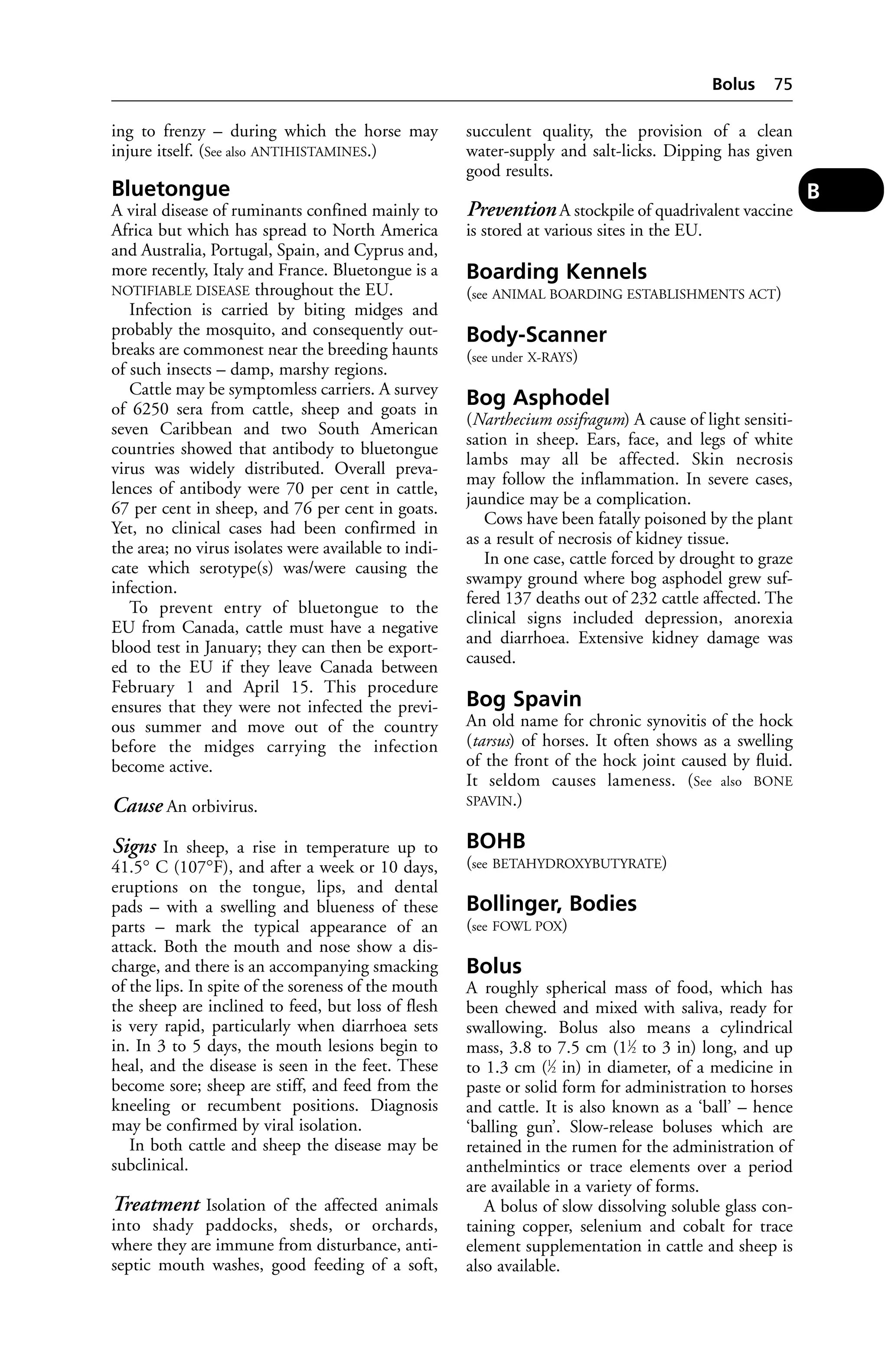 ing to frenzy – during which the horse may 
injure itself. (See also ANTIHISTAMINES.) 
Bluetongue 
A viral disease of ruminants confined mainly to 
Africa but which has spread to North America 
and Australia, Portugal, Spain, and Cyprus and, 
more recently, Italy and France. Bluetongue is a 
NOTIFIABLE DISEASE throughout the EU. 
Infection is carried by biting midges and 
probably the mosquito, and consequently out-breaks 
are commonest near the breeding haunts 
of such insects – damp, marshy regions. 
Cattle may be symptomless carriers. A survey 
of 6250 sera from cattle, sheep and goats in 
seven Caribbean and two South American 
countries showed that antibody to bluetongue 
virus was widely distributed. Overall preva-lences 
of antibody were 70 per cent in cattle, 
67 per cent in sheep, and 76 per cent in goats. 
Yet, no clinical cases had been confirmed in 
the area; no virus isolates were available to indi-cate 
which serotype(s) was/were causing the 
infection. 
To prevent entry of bluetongue to the 
EU from Canada, cattle must have a negative 
blood test in January; they can then be export-ed 
to the EU if they leave Canada between 
February 1 and April 15. This procedure 
ensures that they were not infected the previ-ous 
summer and move out of the country 
before the midges carrying the infection 
become active. 
Cause An orbivirus. 
Signs In sheep, a rise in temperature up to 
41.5° C (107°F), and after a week or 10 days, 
eruptions on the tongue, lips, and dental 
pads – with a swelling and blueness of these 
parts – mark the typical appearance of an 
attack. Both the mouth and nose show a dis-charge, 
and there is an accompanying smacking 
of the lips. In spite of the soreness of the mouth 
the sheep are inclined to feed, but loss of flesh 
is very rapid, particularly when diarrhoea sets 
in. In 3 to 5 days, the mouth lesions begin to 
heal, and the disease is seen in the feet. These 
become sore; sheep are stiff, and feed from the 
kneeling or recumbent positions. Diagnosis 
may be confirmed by viral isolation. 
In both cattle and sheep the disease may be 
subclinical. 
Treatment Isolation of the affected animals 
into shady paddocks, sheds, or orchards, 
where they are immune from disturbance, anti-septic 
mouth washes, good feeding of a soft, 
Bolus 75 
succulent quality, the provision of a clean 
water-supply and salt-licks. Dipping has given 
good results. 
Prevention A stockpile of quadrivalent vaccine 
is stored at various sites in the EU. 
Boarding Kennels 
(see ANIMAL BOARDING ESTABLISHMENTS ACT) 
Body-Scanner 
(see under X-RAYS) 
Bog Asphodel 
(Narthecium ossifragum) A cause of light sensiti-sation 
in sheep. Ears, face, and legs of white 
lambs may all be affected. Skin necrosis 
may follow the inflammation. In severe cases, 
jaundice may be a complication. 
Cows have been fatally poisoned by the plant 
as a result of necrosis of kidney tissue. 
In one case, cattle forced by drought to graze 
swampy ground where bog asphodel grew suf-fered 
137 deaths out of 232 cattle affected. The 
clinical signs included depression, anorexia 
and diarrhoea. Extensive kidney damage was 
caused. 
Bog Spavin 
An old name for chronic synovitis of the hock 
(tarsus) of horses. It often shows as a swelling 
of the front of the hock joint caused by fluid. 
It seldom causes lameness. (See also BONE 
SPAVIN.) 
BOHB 
(see BETAHYDROXYBUTYRATE) 
Bollinger, Bodies 
(see FOWL POX) 
Bolus 
A roughly spherical mass of food, which has 
been chewed and mixed with saliva, ready for 
swallowing. Bolus also means a cylindrical 
mass, 3.8 to 7.5 cm (11⁄2 to 3 in) long, and up 
to 1.3 cm (1⁄2 in) in diameter, of a medicine in 
paste or solid form for administration to horses 
and cattle. It is also known as a ‘ball’ – hence 
‘balling gun’. Slow-release boluses which are 
retained in the rumen for the administration of 
anthelmintics or trace elements over a period 
are available in a variety of forms. 
A bolus of slow dissolving soluble glass con-taining 
copper, selenium and cobalt for trace 
element supplementation in cattle and sheep is 
also available. 
B 
 