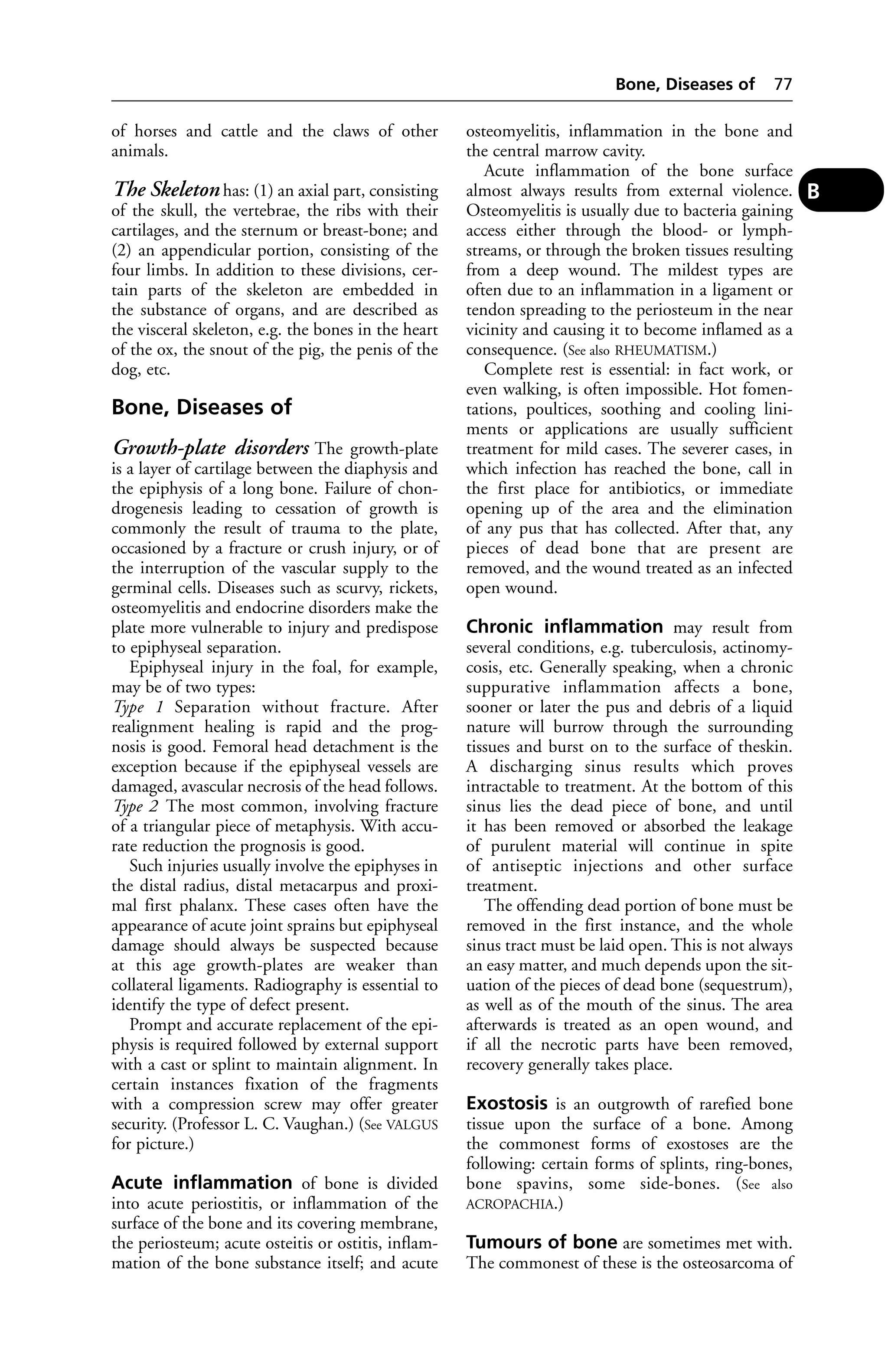 of horses and cattle and the claws of other 
animals. 
The Skeleton has: (1) an axial part, consisting 
of the skull, the vertebrae, the ribs with their 
cartilages, and the sternum or breast-bone; and 
(2) an appendicular portion, consisting of the 
four limbs. In addition to these divisions, cer-tain 
parts of the skeleton are embedded in 
the substance of organs, and are described as 
the visceral skeleton, e.g. the bones in the heart 
of the ox, the snout of the pig, the penis of the 
dog, etc. 
Bone, Diseases of 
Growth-plate disorders The growth-plate 
is a layer of cartilage between the diaphysis and 
the epiphysis of a long bone. Failure of chon-drogenesis 
leading to cessation of growth is 
commonly the result of trauma to the plate, 
occasioned by a fracture or crush injury, or of 
the interruption of the vascular supply to the 
germinal cells. Diseases such as scurvy, rickets, 
osteomyelitis and endocrine disorders make the 
plate more vulnerable to injury and predispose 
to epiphyseal separation. 
Epiphyseal injury in the foal, for example, 
may be of two types: 
Type 1 Separation without fracture. After 
realignment healing is rapid and the prog-nosis 
is good. Femoral head detachment is the 
exception because if the epiphyseal vessels are 
damaged, avascular necrosis of the head follows. 
Type 2 The most common, involving fracture 
of a triangular piece of metaphysis. With accu-rate 
reduction the prognosis is good. 
Such injuries usually involve the epiphyses in 
the distal radius, distal metacarpus and proxi-mal 
first phalanx. These cases often have the 
appearance of acute joint sprains but epiphyseal 
damage should always be suspected because 
at this age growth-plates are weaker than 
collateral ligaments. Radiography is essential to 
identify the type of defect present. 
Prompt and accurate replacement of the epi-physis 
is required followed by external support 
with a cast or splint to maintain alignment. In 
certain instances fixation of the fragments 
with a compression screw may offer greater 
security. (Professor L. C. Vaughan.) (See VALGUS 
for picture.) 
Acute inflammation of bone is divided 
into acute periostitis, or inflammation of the 
surface of the bone and its covering membrane, 
the periosteum; acute osteitis or ostitis, inflam-mation 
of the bone substance itself; and acute 
Bone, Diseases of 77 
osteomyelitis, inflammation in the bone and 
the central marrow cavity. 
Acute inflammation of the bone surface 
almost always results from external violence. 
Osteomyelitis is usually due to bacteria gaining 
access either through the blood- or lymph-streams, 
or through the broken tissues resulting 
from a deep wound. The mildest types are 
often due to an inflammation in a ligament or 
tendon spreading to the periosteum in the near 
vicinity and causing it to become inflamed as a 
consequence. (See also RHEUMATISM.) 
Complete rest is essential: in fact work, or 
even walking, is often impossible. Hot fomen-tations, 
poultices, soothing and cooling lini-ments 
or applications are usually sufficient 
treatment for mild cases. The severer cases, in 
which infection has reached the bone, call in 
the first place for antibiotics, or immediate 
opening up of the area and the elimination 
of any pus that has collected. After that, any 
pieces of dead bone that are present are 
removed, and the wound treated as an infected 
open wound. 
Chronic inflammation may result from 
several conditions, e.g. tuberculosis, actinomy-cosis, 
etc. Generally speaking, when a chronic 
suppurative inflammation affects a bone, 
sooner or later the pus and debris of a liquid 
nature will burrow through the surrounding 
tissues and burst on to the surface of theskin. 
A discharging sinus results which proves 
intractable to treatment. At the bottom of this 
sinus lies the dead piece of bone, and until 
it has been removed or absorbed the leakage 
of purulent material will continue in spite 
of antiseptic injections and other surface 
treatment. 
The offending dead portion of bone must be 
removed in the first instance, and the whole 
sinus tract must be laid open. This is not always 
an easy matter, and much depends upon the sit-uation 
of the pieces of dead bone (sequestrum), 
as well as of the mouth of the sinus. The area 
afterwards is treated as an open wound, and 
if all the necrotic parts have been removed, 
recovery generally takes place. 
Exostosis is an outgrowth of rarefied bone 
tissue upon the surface of a bone. Among 
the commonest forms of exostoses are the 
following: certain forms of splints, ring-bones, 
bone spavins, some side-bones. (See also 
ACROPACHIA.) 
Tumours of bone are sometimes met with. 
The commonest of these is the osteosarcoma of 
B 
 