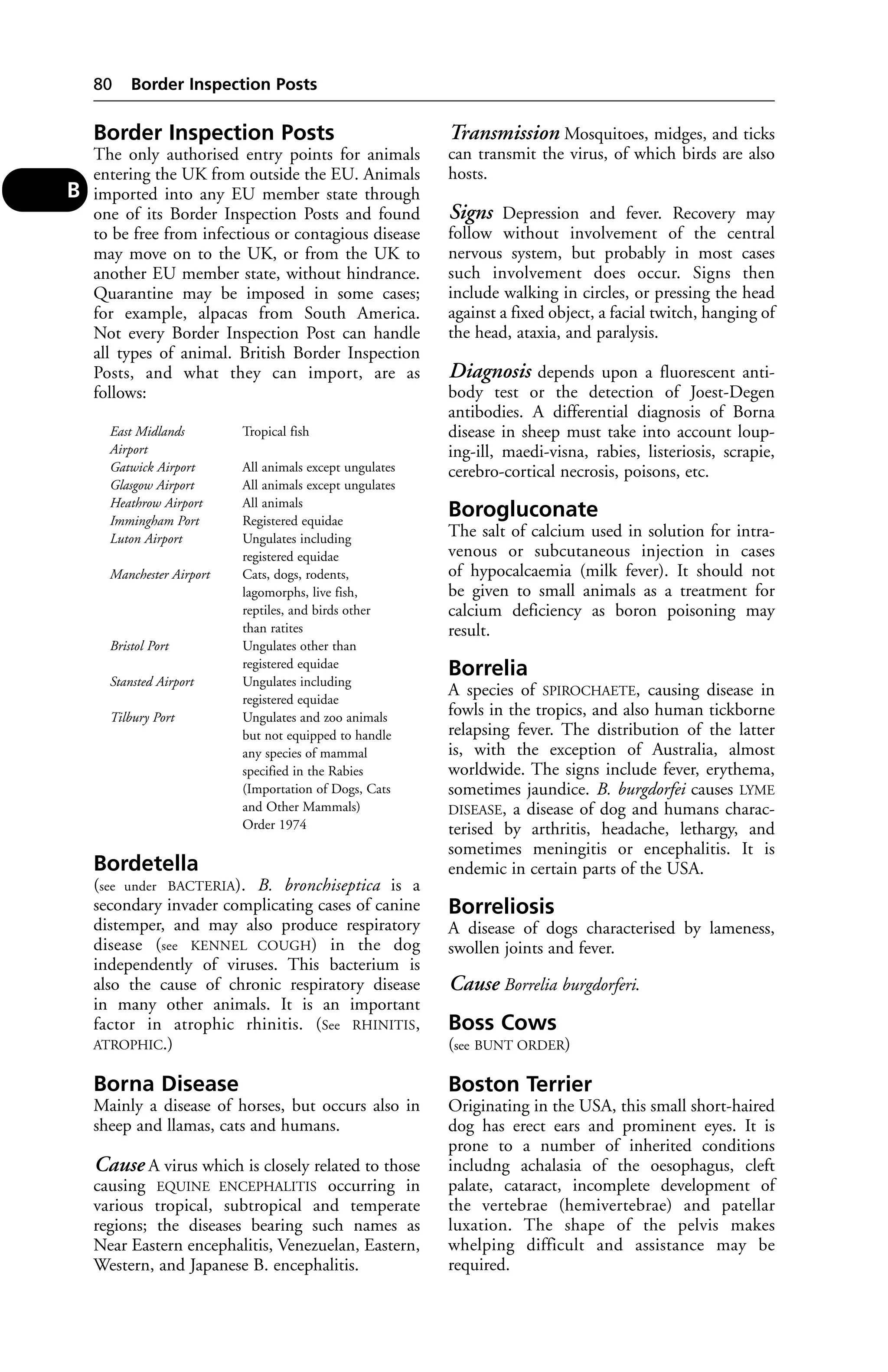 Border Inspection Posts 
The only authorised entry points for animals 
entering the UK from outside the EU. Animals 
imported into any EU member state through 
one of its Border Inspection Posts and found 
to be free from infectious or contagious disease 
may move on to the UK, or from the UK to 
another EU member state, without hindrance. 
Quarantine may be imposed in some cases; 
for example, alpacas from South America. 
Not every Border Inspection Post can handle 
all types of animal. British Border Inspection 
Posts, and what they can import, are as 
follows: 
East Midlands Tropical fish 
Airport 
Gatwick Airport All animals except ungulates 
Glasgow Airport All animals except ungulates 
Heathrow Airport All animals 
Immingham Port Registered equidae 
Luton Airport Ungulates including 
registered equidae 
Manchester Airport Cats, dogs, rodents, 
lagomorphs, live fish, 
reptiles, and birds other 
than ratites 
Bristol Port Ungulates other than 
registered equidae 
Stansted Airport Ungulates including 
registered equidae 
Tilbury Port Ungulates and zoo animals 
but not equipped to handle 
any species of mammal 
specified in the Rabies 
(Importation of Dogs, Cats 
and Other Mammals) 
Order 1974 
Bordetella 
(see under BACTERIA). B. bronchiseptica is a 
secondary invader complicating cases of canine 
distemper, and may also produce respiratory 
disease (see KENNEL COUGH) in the dog 
independently of viruses. This bacterium is 
also the cause of chronic respiratory disease 
in many other animals. It is an important 
factor in atrophic rhinitis. (See RHINITIS, 
ATROPHIC.) 
Borna Disease 
Mainly a disease of horses, but occurs also in 
sheep and llamas, cats and humans. 
Cause A virus which is closely related to those 
causing EQUINE ENCEPHALITIS occurring in 
various tropical, subtropical and temperate 
regions; the diseases bearing such names as 
Near Eastern encephalitis, Venezuelan, Eastern, 
Western, and Japanese B. encephalitis. 
Transmission Mosquitoes, midges, and ticks 
can transmit the virus, of which birds are also 
hosts. 
Signs Depression and fever. Recovery may 
follow without involvement of the central 
nervous system, but probably in most cases 
such involvement does occur. Signs then 
include walking in circles, or pressing the head 
against a fixed object, a facial twitch, hanging of 
the head, ataxia, and paralysis. 
Diagnosis depends upon a fluorescent anti-body 
test or the detection of Joest-Degen 
antibodies. A differential diagnosis of Borna 
disease in sheep must take into account loup-ing- 
ill, maedi-visna, rabies, listeriosis, scrapie, 
cerebro-cortical necrosis, poisons, etc. 
Borogluconate 
The salt of calcium used in solution for intra-venous 
or subcutaneous injection in cases 
of hypocalcaemia (milk fever). It should not 
be given to small animals as a treatment for 
calcium deficiency as boron poisoning may 
result. 
Borrelia 
A species of SPIROCHAETE, causing disease in 
fowls in the tropics, and also human tickborne 
relapsing fever. The distribution of the latter 
is, with the exception of Australia, almost 
worldwide. The signs include fever, erythema, 
sometimes jaundice. B. burgdorfei causes LYME 
DISEASE, a disease of dog and humans charac-terised 
by arthritis, headache, lethargy, and 
sometimes meningitis or encephalitis. It is 
endemic in certain parts of the USA. 
Borreliosis 
A disease of dogs characterised by lameness, 
swollen joints and fever. 
Cause Borrelia burgdorferi. 
Boss Cows 
(see BUNT ORDER) 
Boston Terrier 
Originating in the USA, this small short-haired 
dog has erect ears and prominent eyes. It is 
prone to a number of inherited conditions 
includng achalasia of the oesophagus, cleft 
palate, cataract, incomplete development of 
the vertebrae (hemivertebrae) and patellar 
luxation. The shape of the pelvis makes 
whelping difficult and assistance may be 
required. 
80 Border Inspection Posts 
B 
 