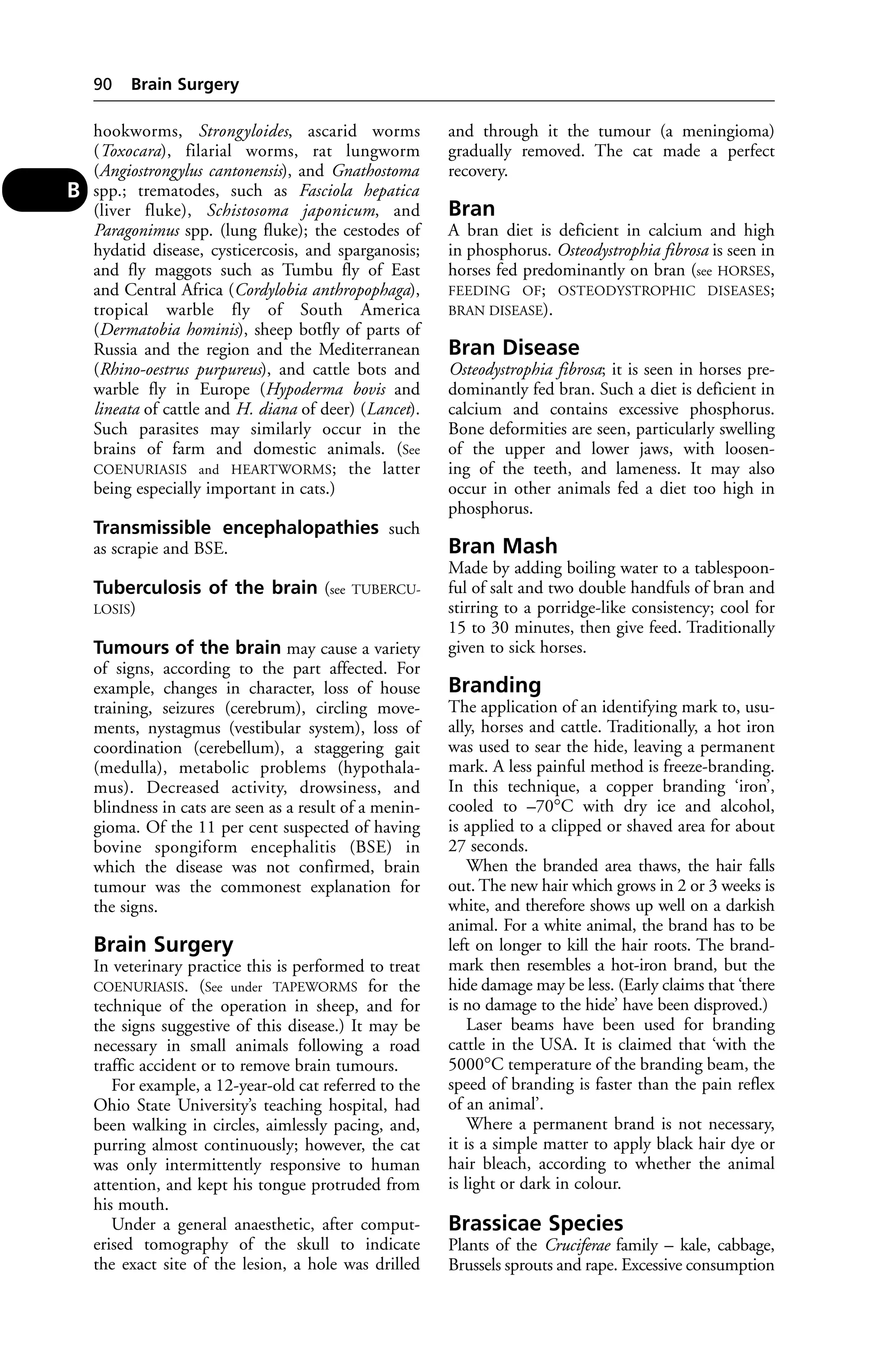 hookworms, Strongyloides, ascarid worms 
(Toxocara), filarial worms, rat lungworm 
(Angiostrongylus cantonensis), and Gnathostoma 
spp.; trematodes, such as Fasciola hepatica 
(liver fluke), Schistosoma japonicum, and 
Paragonimus spp. (lung fluke); the cestodes of 
hydatid disease, cysticercosis, and sparganosis; 
and fly maggots such as Tumbu fly of East 
and Central Africa (Cordylobia anthropophaga), 
tropical warble fly of South America 
(Dermatobia hominis), sheep botfly of parts of 
Russia and the region and the Mediterranean 
(Rhino-oestrus purpureus), and cattle bots and 
warble fly in Europe (Hypoderma bovis and 
lineata of cattle and H. diana of deer) (Lancet). 
Such parasites may similarly occur in the 
brains of farm and domestic animals. (See 
COENURIASIS and HEARTWORMS; the latter 
being especially important in cats.) 
Transmissible encephalopathies such 
as scrapie and BSE. 
Tuberculosis of the brain (see TUBERCU-LOSIS) 
Tumours of the brain may cause a variety 
of signs, according to the part affected. For 
example, changes in character, loss of house 
training, seizures (cerebrum), circling move-ments, 
nystagmus (vestibular system), loss of 
coordination (cerebellum), a staggering gait 
(medulla), metabolic problems (hypothala-mus). 
Decreased activity, drowsiness, and 
blindness in cats are seen as a result of a menin-gioma. 
Of the 11 per cent suspected of having 
bovine spongiform encephalitis (BSE) in 
which the disease was not confirmed, brain 
tumour was the commonest explanation for 
the signs. 
Brain Surgery 
In veterinary practice this is performed to treat 
COENURIASIS. (See under TAPEWORMS for the 
technique of the operation in sheep, and for 
the signs suggestive of this disease.) It may be 
necessary in small animals following a road 
traffic accident or to remove brain tumours. 
For example, a 12-year-old cat referred to the 
Ohio State University’s teaching hospital, had 
been walking in circles, aimlessly pacing, and, 
purring almost continuously; however, the cat 
was only intermittently responsive to human 
attention, and kept his tongue protruded from 
his mouth. 
Under a general anaesthetic, after comput-erised 
tomography of the skull to indicate 
the exact site of the lesion, a hole was drilled 
and through it the tumour (a meningioma) 
gradually removed. The cat made a perfect 
recovery. 
Bran 
A bran diet is deficient in calcium and high 
in phosphorus. Osteodystrophia fibrosa is seen in 
horses fed predominantly on bran (see HORSES, 
FEEDING OF; OSTEODYSTROPHIC DISEASES; 
BRAN DISEASE). 
Bran Disease 
Osteodystrophia fibrosa; it is seen in horses pre-dominantly 
fed bran. Such a diet is deficient in 
calcium and contains excessive phosphorus. 
Bone deformities are seen, particularly swelling 
of the upper and lower jaws, with loosen-ing 
of the teeth, and lameness. It may also 
occur in other animals fed a diet too high in 
phosphorus. 
Bran Mash 
Made by adding boiling water to a tablespoon-ful 
of salt and two double handfuls of bran and 
stirring to a porridge-like consistency; cool for 
15 to 30 minutes, then give feed. Traditionally 
given to sick horses. 
Branding 
The application of an identifying mark to, usu-ally, 
horses and cattle. Traditionally, a hot iron 
was used to sear the hide, leaving a permanent 
mark. A less painful method is freeze-branding. 
In this technique, a copper branding ‘iron’, 
cooled to –70°C with dry ice and alcohol, 
is applied to a clipped or shaved area for about 
27 seconds. 
When the branded area thaws, the hair falls 
out. The new hair which grows in 2 or 3 weeks is 
white, and therefore shows up well on a darkish 
animal. For a white animal, the brand has to be 
left on longer to kill the hair roots. The brand-mark 
then resembles a hot-iron brand, but the 
hide damage may be less. (Early claims that ‘there 
is no damage to the hide’ have been disproved.) 
Laser beams have been used for branding 
cattle in the USA. It is claimed that ‘with the 
5000°C temperature of the branding beam, the 
speed of branding is faster than the pain reflex 
of an animal’. 
Where a permanent brand is not necessary, 
it is a simple matter to apply black hair dye or 
hair bleach, according to whether the animal 
is light or dark in colour. 
Brassicae Species 
Plants of the Cruciferae family – kale, cabbage, 
Brussels sprouts and rape. Excessive consumption 
90 Brain Surgery 
B 
 