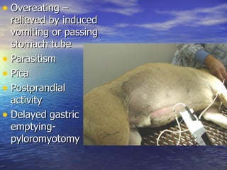 • Overeating –
  relieved by induced
  vomiting or passing
  stomach tube
• Parasitism
• Pica
• Postprandial
  activity
• Delayed gastric
  emptying-
  pyloromyotomy
 
