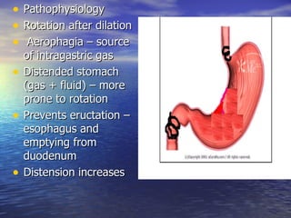 •   Pathophysiology
•   Rotation after dilation
•    Aerophagia – source
    of intragastric gas
•   Distended stomach
    (gas + fluid) – more
    prone to rotation
•   Prevents eructation –
    esophagus and
    emptying from
    duodenum
•   Distension increases
 