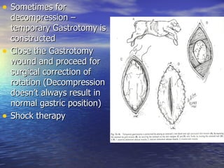 • Sometimes for
    decompression –
    temporary Gastrotomy is
    constructed
•   Close the Gastrotomy
    wound and proceed for
    surgical correction of
    rotation (Decompression
    doesn’t always result in
    normal gastric position)
•   Shock therapy
 