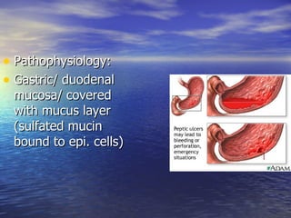 • Pathophysiology:
• Gastric/ duodenal
 mucosa/ covered
 with mucus layer
 (sulfated mucin
 bound to epi. cells)
 
