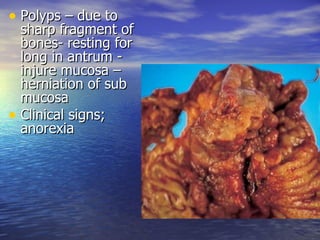• Polyps – due to
  sharp fragment of
  bones- resting for
  long in antrum -
  injure mucosa –
  herniation of sub
  mucosa
• Clinical signs;
  anorexia
 