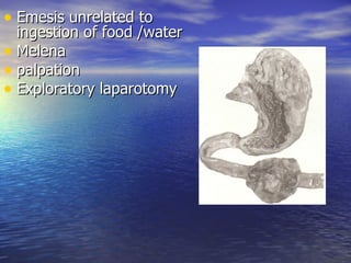 • Emesis unrelated to
  ingestion of food /water
• Melena
• palpation
• Exploratory laparotomy
 