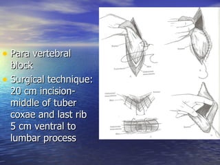 • Para vertebral
  block
• Surgical technique:
  20 cm incision-
  middle of tuber
  coxae and last rib
  5 cm ventral to
  lumbar process
 