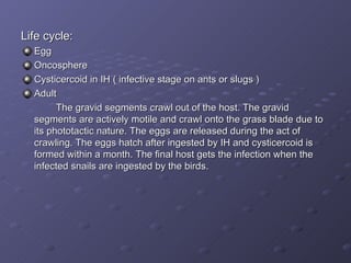 Life cycle: Egg Oncosphere Cysticercoid in IH ( infective stage on ants or slugs ) Adult The gravid segments crawl out of the host. The gravid segments are actively motile and crawl onto the grass blade due to its phototactic nature. The eggs are released during the act of crawling. The eggs hatch after ingested by IH and cysticercoid is formed within a month. The final host gets the infection when the infected snails are ingested by the birds. 
