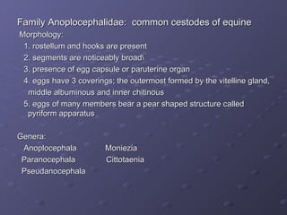 Family Anoplocephalidae:  common cestodes of equine Morphology: 1. rostellum and hooks are present  2. segments are noticeably broad\ 3. presence of egg capsule or paruterine organ 4. eggs have 3 coverings; the outermost formed by the vitelline gland,  middle albuminous and inner chitinous 5. eggs of many members bear a pear shaped structure called pyriform apparatus Genera: Anoplocephala  Moniezia Paranocephala  Cittotaenia Pseudanocephala 