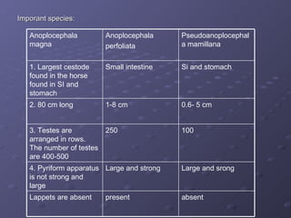 Imporant species: absent present Lappets are absent Large and srong Large and strong 4. Pyriform apparatus is not strong and large  100 250  3. Testes are arranged in rows. The number of testes are 400-500 0.6- 5 cm 1-8 cm  2. 80 cm long Si and stomach Small intestine 1. Largest cestode found in the horse found in SI and stomach Pseudoanoplocephala mamillana Anoplocephala perfoliata Anoplocephala magna 