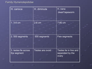 Family Hymenolepididae Testes lie in line and separated by the ovary Testes are ovoid 3. testes lie across the segment Few segments 500 segments 2. 500 segments 7-80 cm 2-6 cm 1. 3-8 cm H. nana dwarf tapeworm H. diminuta H. carioca 