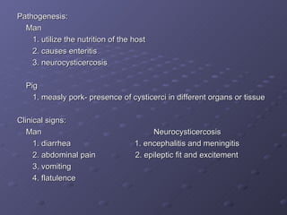 Pathogenesis: Man 1. utilize the nutrition of the host  2. causes enteritis 3. neurocysticercosis Pig 1. measly pork- presence of cysticerci in different organs or tissue Clinical signs: Man  Neurocysticercosis 1. diarrhea  1. encephalitis and meningitis 2. abdominal pain  2. epileptic fit and excitement 3. vomiting 4. flatulence 