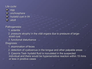 Life cycle: egg onchosphere  hydatid cyst in IH adult Pathogenesis: 1. enteritis 2. pressure atrophy in the vital organs due to pressure of large- sized cyst 3. functional disturbance Diagnosis: 1. examination of feces 2. detection of cysticercus in the tongue and other palpable areas 3. Casonis Test- hydatid fluid is inoculated in the suspected individual and there would be hypersensitive reaction within 15 mins or less in positive cases 