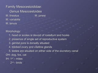 Family Mesocestoididae: Genus Mesocestoides  M. lineatus  M. jonesi M. variabilis M. tenuis Morphology: 1. head or scolex is devoid of rostellum and hooks 2. presence of single set of reproductive system 3. genital pore is dorsally situated 4. bilobed ovary and vitelline glands 5. testes are situated on either side of the excretory canal DH- dog, fox, cat IH- 1 st  – mites 2 nd  - birds 