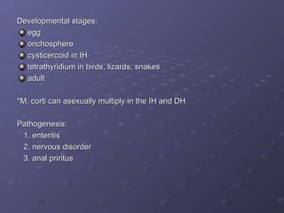 Developmental stages: egg onchosphere cysticercoid in IH tetrathyridium in birds, lizards, snakes adult *M. corti can asexually multiply in the IH and DH Pathogenesis: 1. enteritis 2. nervous disorder 3. anal priritus 