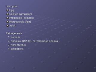 Life cycle: Egg Ciliated coracidium Procercoid (cyclops) Plerocercoid (fish) Adult Pathogenesis 1. enteritis  2. anemia ( B12 def. or Pernicious anemia ) 3. anal pruritus 4. epileptic fit 