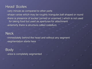 Head/ Scolex -very minute as compared to other parts -shape varies which may be roughly triangular,ball shaped or round -there is presence of sucker (armed or unarmed ) which is not used for taking food but used as apertures for attachment -anteriorly there is structure called rostellum Neck -immediately behind the head and without any segment -segmentation starts here Body  -area is completely segmented 