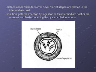 -metacestodes / bladderworms / cyst / larval stages are formed in the intermediate host -final host gets the infection by ingestion of the intermediate host or the muscles and flesh containing the cysts or bladderworms 