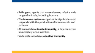 Veterinary Immunology.pptx