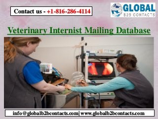 Veterinary Internist Mailing Database
info@globalb2bcontacts.com| www.globalb2bcontacts.com
Contact us - +1-816-286-4114
 