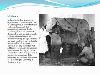 History
In Europe, the first attempts to
organize and regulate the practice
of treating animals tended to focus
on horses because of their
economic significance. In the
Middle Ages, farriers combined
their work in shoeing and generally
caring for horses' hooves with
"horse doctoring". In 1356, the Lord
Mayor of London, concerned at the
poor standard of care given to
horses in the city, requested that
all farriers operating within a seven
mile radius of the City of London
form a "fellowship" to regulate and
improve their practices. This
ultimately led to the establishment
of the Worshipful Company of
Farriers in 1674.
 
