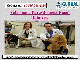 Veterinary Parasitologist Email
Database
info@globalb2bcontacts.com| www.globalb2bcontacts.com
Contact us - +1-816-286-4114
 