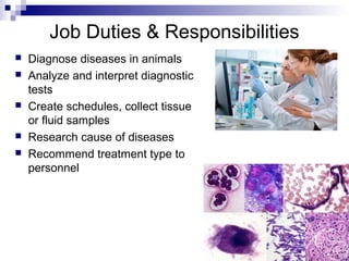 Job Duties & Responsibilities
 Diagnose diseases in animals
 Analyze and interpret diagnostic
tests
 Create schedules, collect tissue
or fluid samples
 Research cause of diseases
 Recommend treatment type to
personnel
 