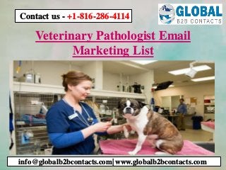 Veterinary Pathologist Email
Marketing List
info@globalb2bcontacts.com| www.globalb2bcontacts.com
Contact us - +1-816-286-4114
 
