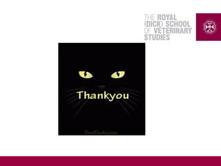 veterinarypharmacy-110426110711-phpapp02.pdf