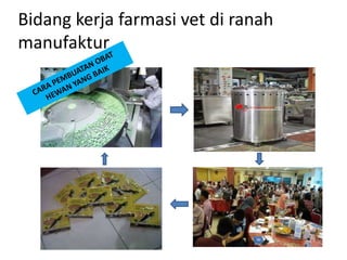 Bidang kerja farmasi vet di ranah
manufaktur
 