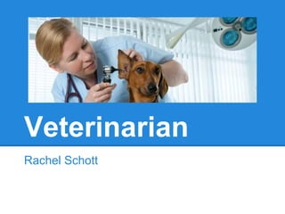 Veterinarian
Rachel Schott
 