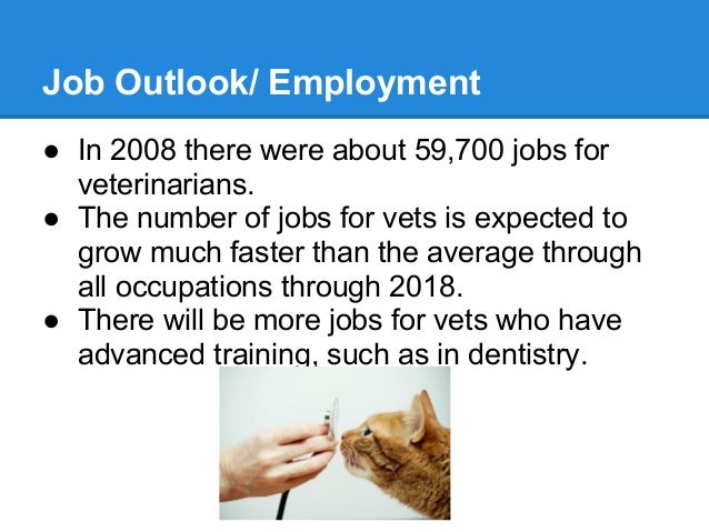 Veterinary slideshow (presentation of career)