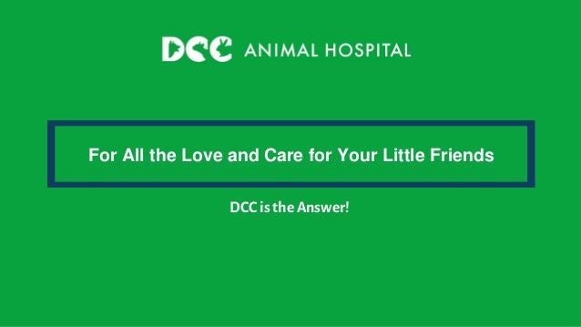 For All the Love and Care for Your Little Friends
DCC is theAnswer!
 