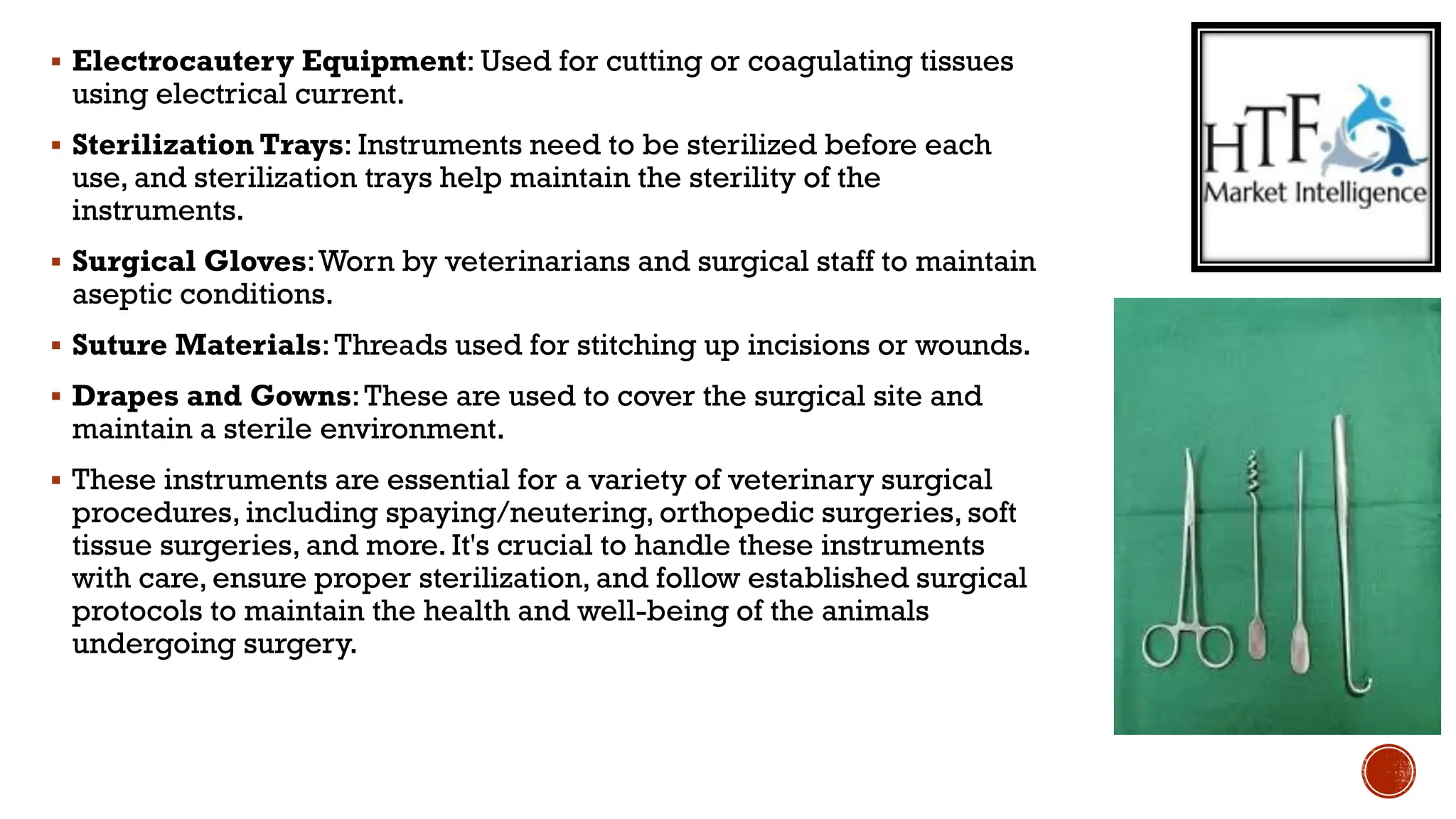 Veterinary Surgical Instrument Market.pdf