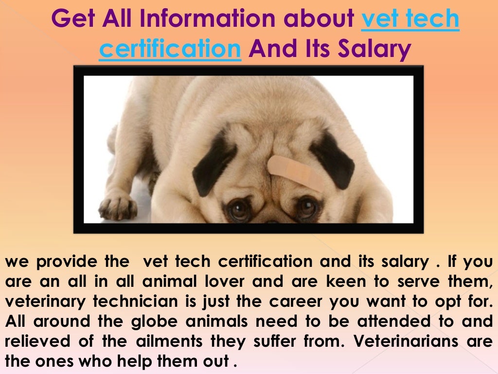 Veterinary Tech Salary