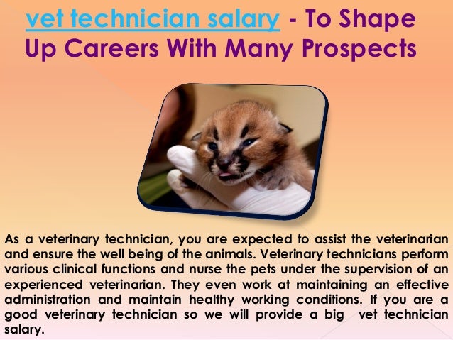 veterinarian technician salary