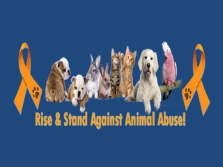 Abuses or violations of Animal welfare