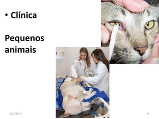 A PROFISSÃO
Alguns dos tópicos anteriores sobre o que você pode fazer
16/8/2013
A Veterinária - Maria Thereza do Amaral e
Floriano P. Barciela Filho
19
 