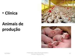 A profissão
• Clínica
16/8/2013
A Veterinária - Maria Thereza do Amaral e
Floriano P. Barciela Filho
22
• Pequenos animais
• Grandes animais e
animais de produção
• Pequenos ruminantes
• Silvestres
 