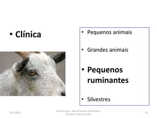 A profissão
• Clínica
Tratar animais doentes
16/8/2013
A Veterinária - Maria Thereza do Amaral e
Floriano P. Barciela Filho
23
• Pequenos animais
• Grandes animais e
animais de produção
• Pequenos ruminantes
• Silvestres
 