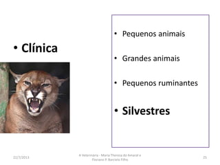 A profissão
• Clínica
16/8/2013
A Veterinária - Maria Thereza do Amaral e
Floriano P. Barciela Filho
25
• Pequenos
animais
• Grandes animais e
animais de produção
• Pequenos ruminantes
• Silvestres
 
