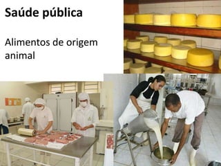 • Clínica de
Silvestres
Nativos
IBAMA
16/8/2013
A Veterinária - Maria Thereza do Amaral e
Floriano P. Barciela Filho
33
 