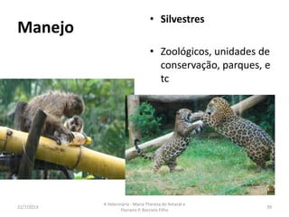 Saúde pública
16/8/2013
A Veterinária - Maria Thereza do Amaral e
Floriano P. Barciela Filho
39
• Alimentos de
origem animal
• Inspeção
 