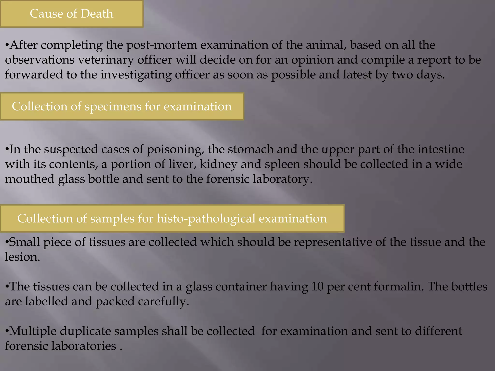 Fingerprint Forensics: The 11 Cases That Shocked The World - ha2adfg