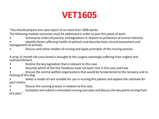 VET1605
“You should prepare one case report of no more than 1000 words.
The following module outcomes must be addressed in order to pass this piece of work:
• Summarise codes of practice and legislation in relation to protection of animal interests.
• Identify factors affecting health of patients and describe basic clinical assessment and
management of animals.
• Discuss and utilise models of nursing and apply principles of the nursing process.
A stray 12 month old cross breed is brought to the surgery seemingly suffering from neglect and
malnourishment.
• Outline the key legislation that is relevant to this case
• Describe which of the five freedoms have not been met in this case and how.
• Discuss the animal welfare organisations that would be fundamental to the recovery and re-
homing of this dog.
• Select a model of care suitable for use in nursing this patient and explain the rationale for
your choice.
• Discuss the nursing process in relation to this case.
• Complete and submit a simulated nursing care plan and discuss the key points arising from
this plan.”
 