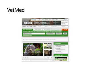 VetMed
 
