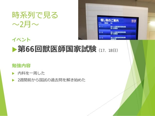 獣医国試勉強をどのように進めたか